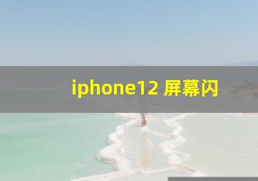 iphone12 屏幕闪